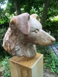 Hund, Buntsandstein, Mathias Nikolaus 2017